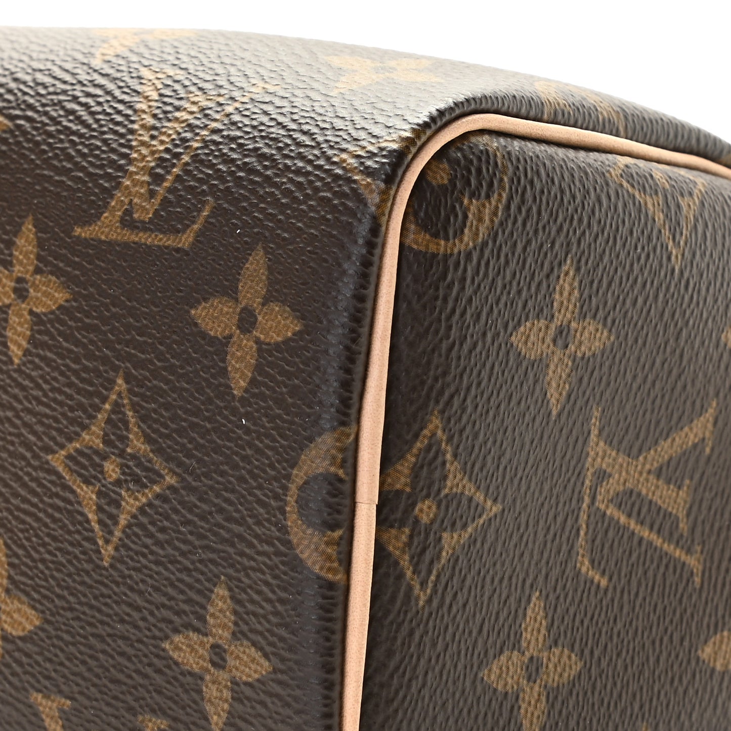 Monogram Nano Speedy