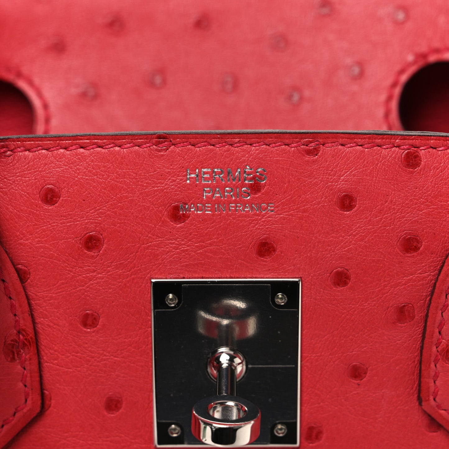 Ostrich Birkin 30 Bougainvillea