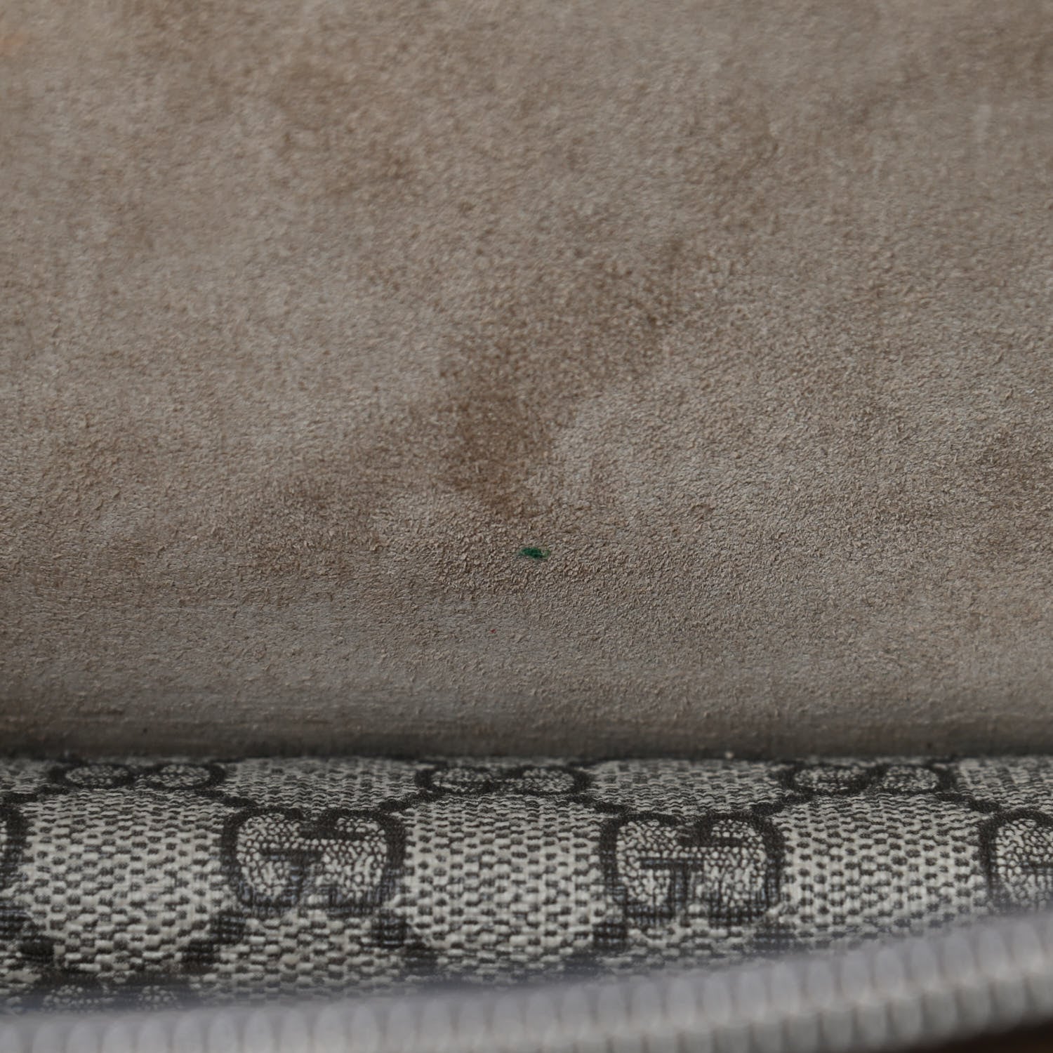 Gucci GG Supreme Monogram Small Dionysus Shoulder Bag Taupe 11 of 14