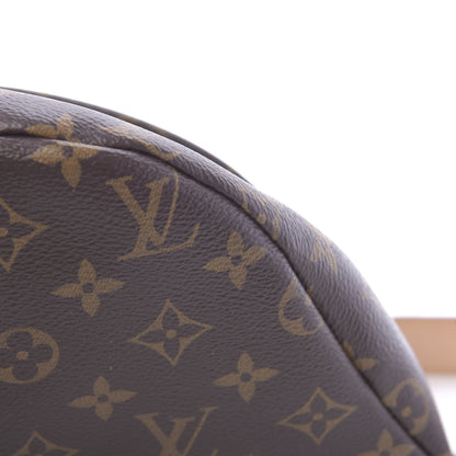 Louis Vuitton Monogram Bumbag 8 of 10