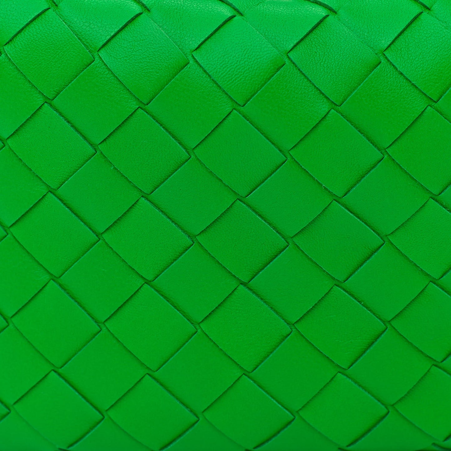 Nappa Intrecciato Mini Jodie Parakeet