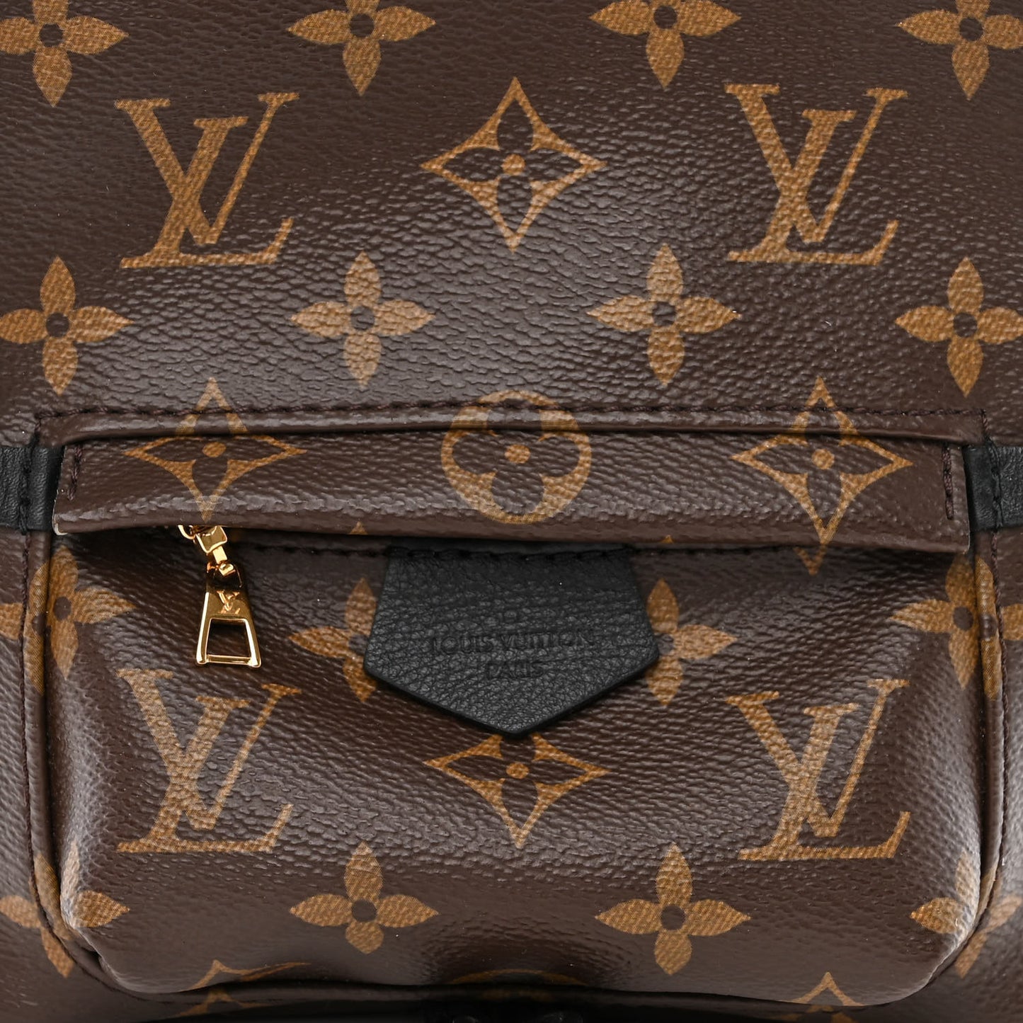 Monogram Palm Springs Backpack Mini