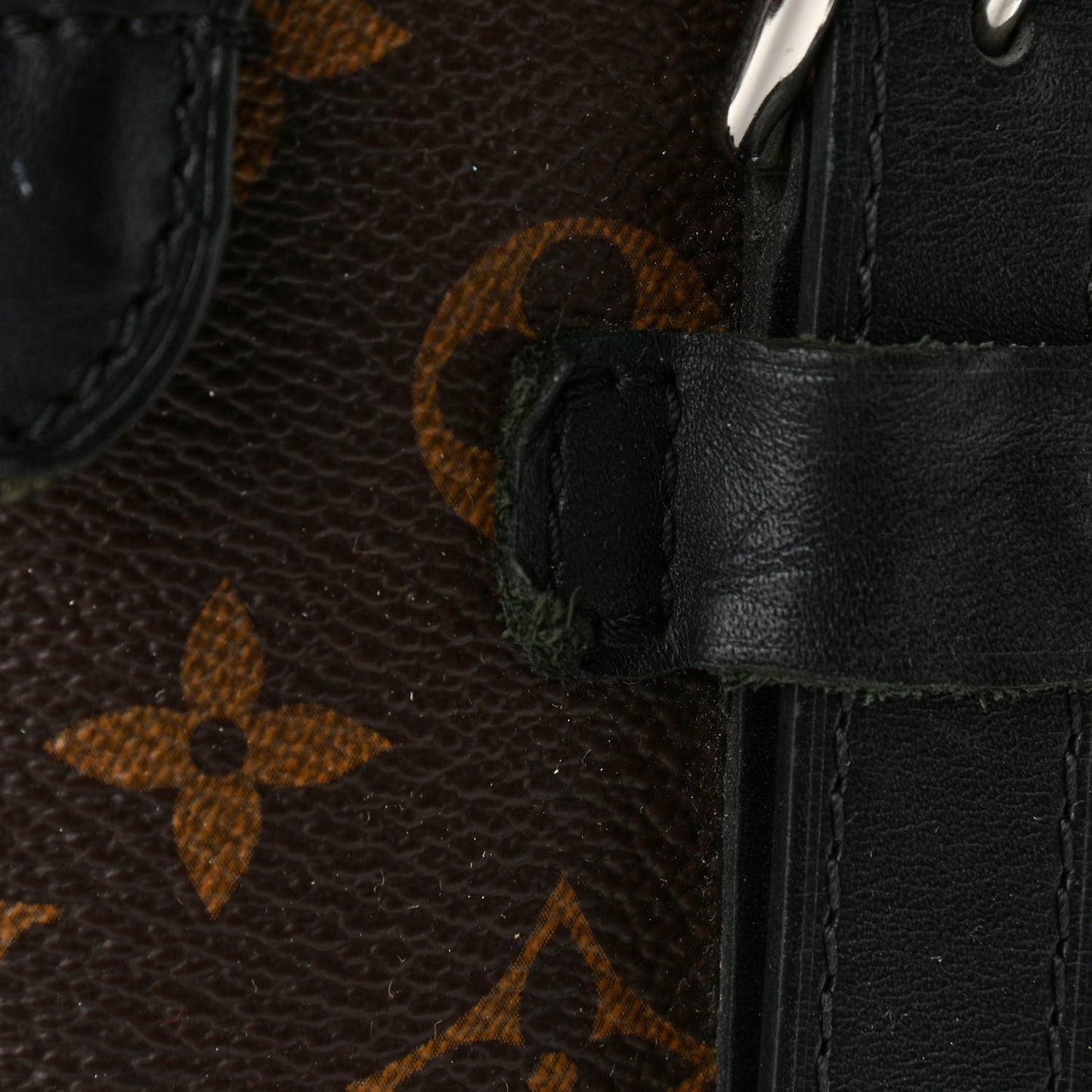 Monogram Macassar Christopher PM Backpack