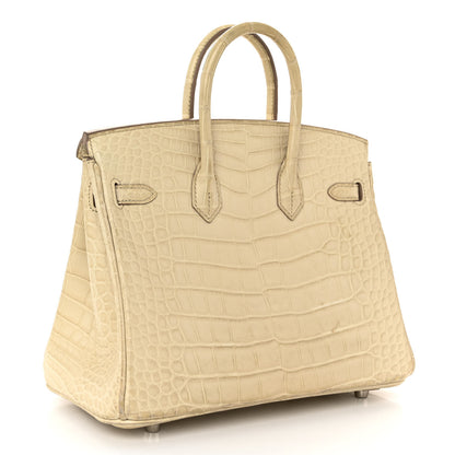 Hermes Matte Alligator Birkin 25 Beton 3 of 12