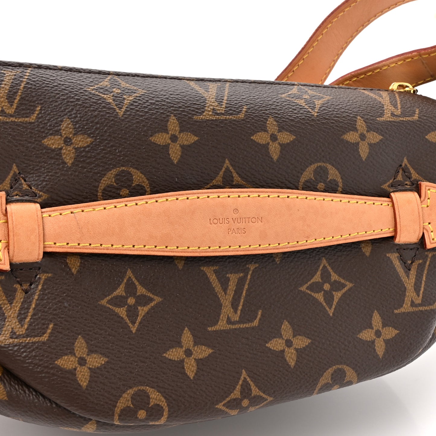Monogram Bumbag