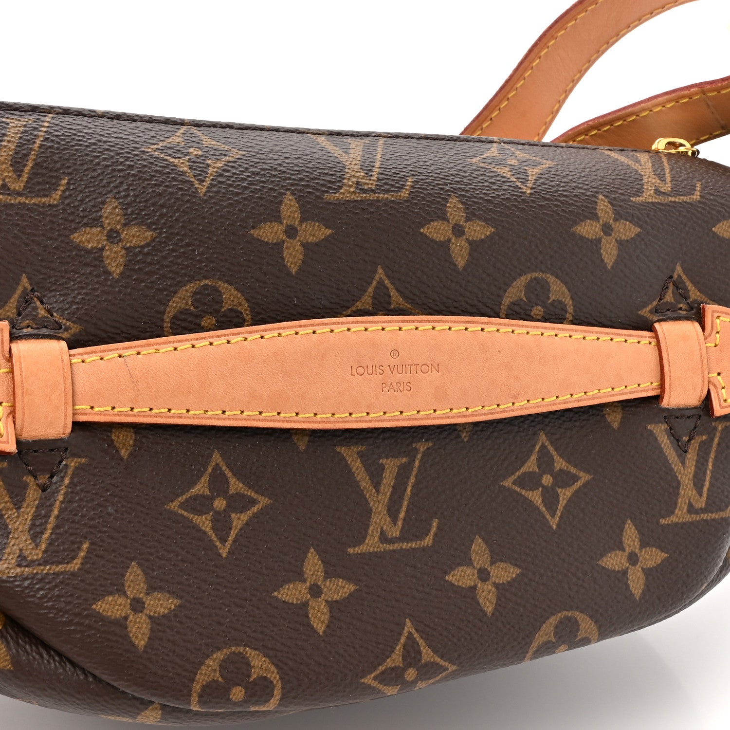 Louis Vuitton Monogram Bumbag 10 of 11