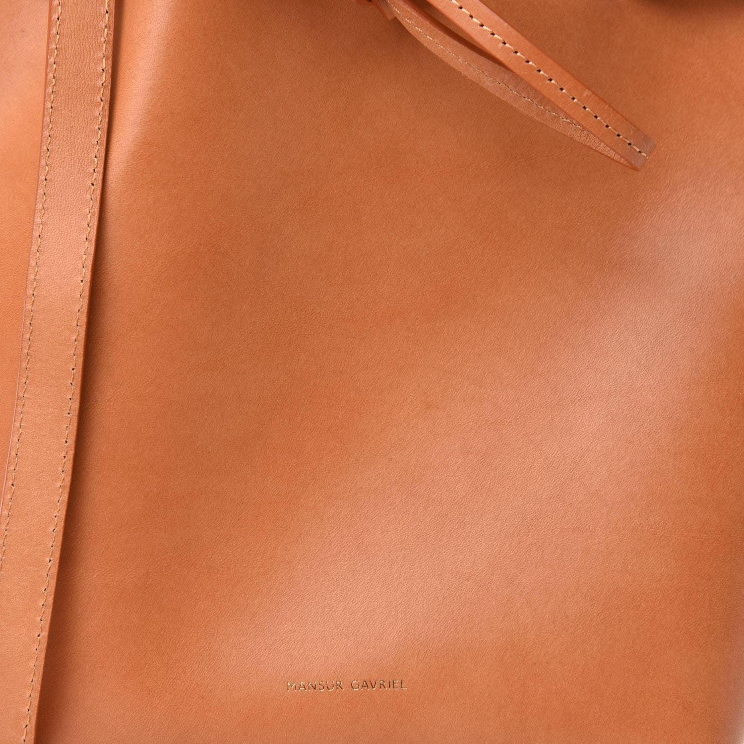Mansur Gavriel Vegetable Tanned Calfskin Mini Bucket Bag Camello Azzurro 8 of 11