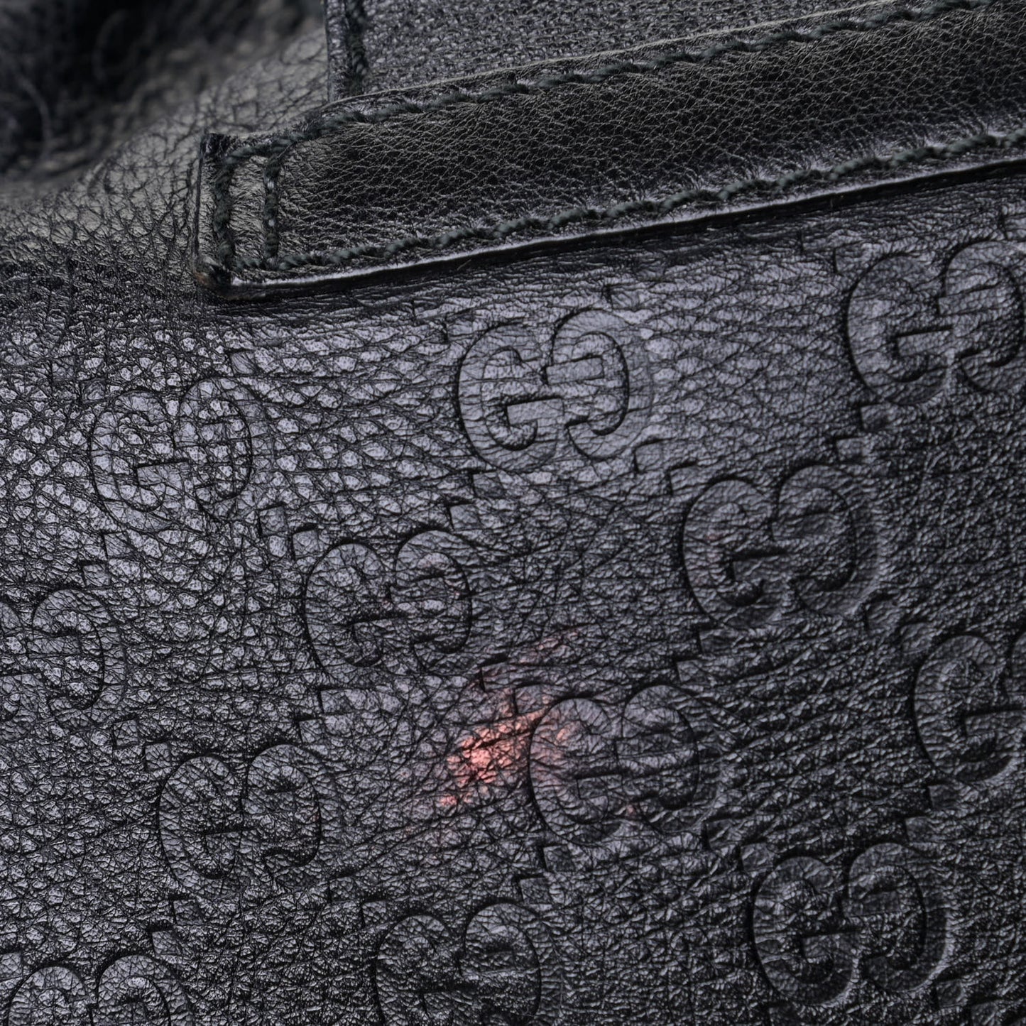 Guccissima Large New Ladies Web Hobo Black