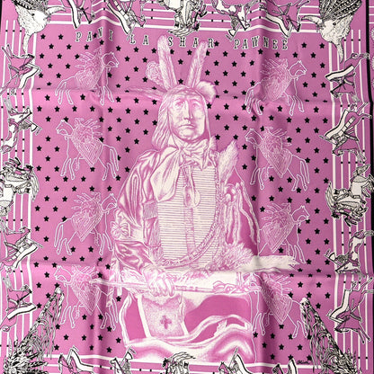 Hermes Silk Pani La Shar Pawnee Scarf 70 2 of 3
