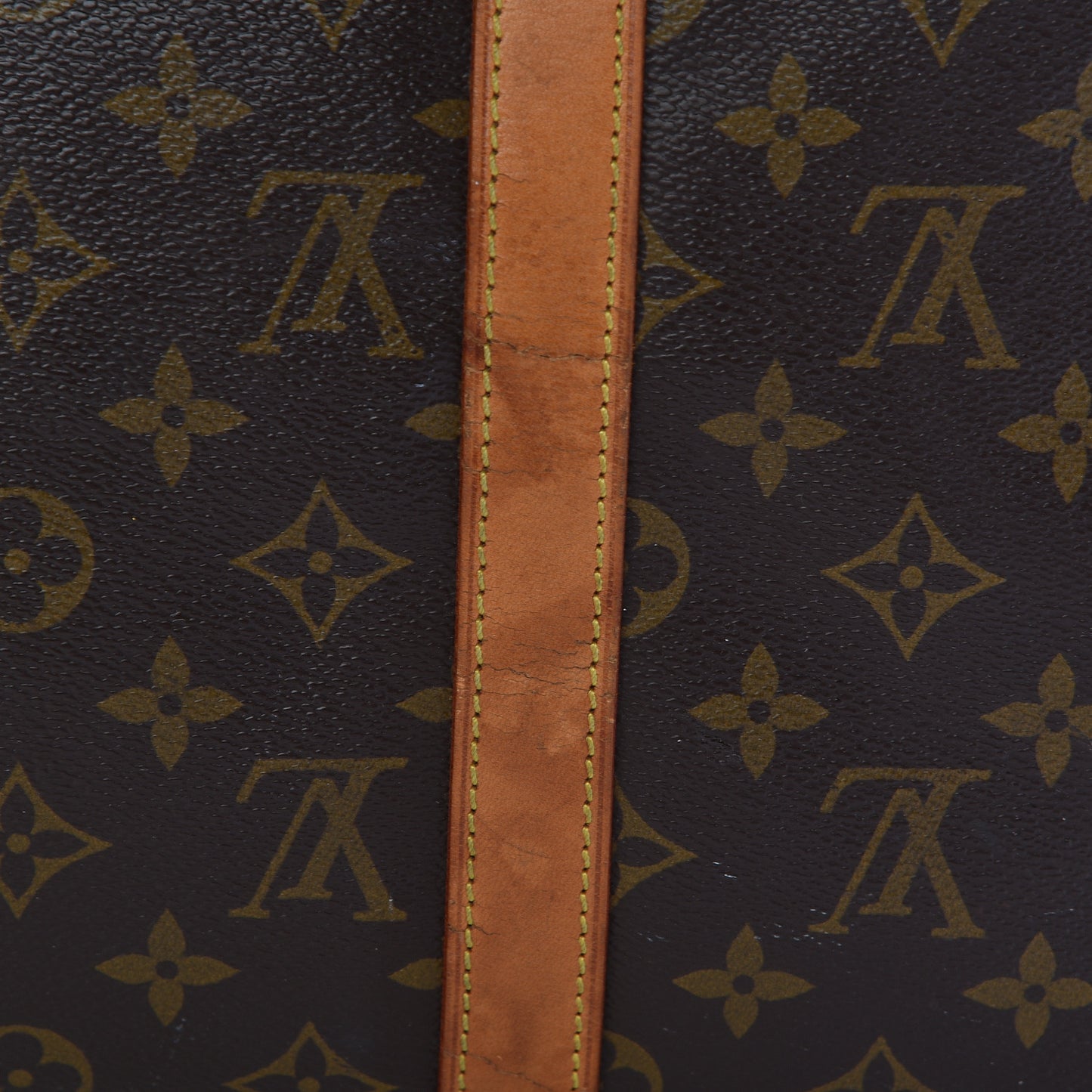 Monogram Sac Flanerie 50