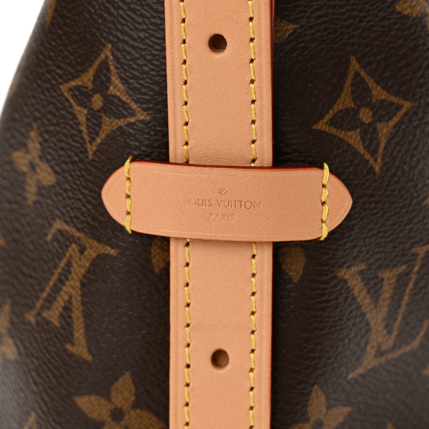 Monogram CarryAll PM