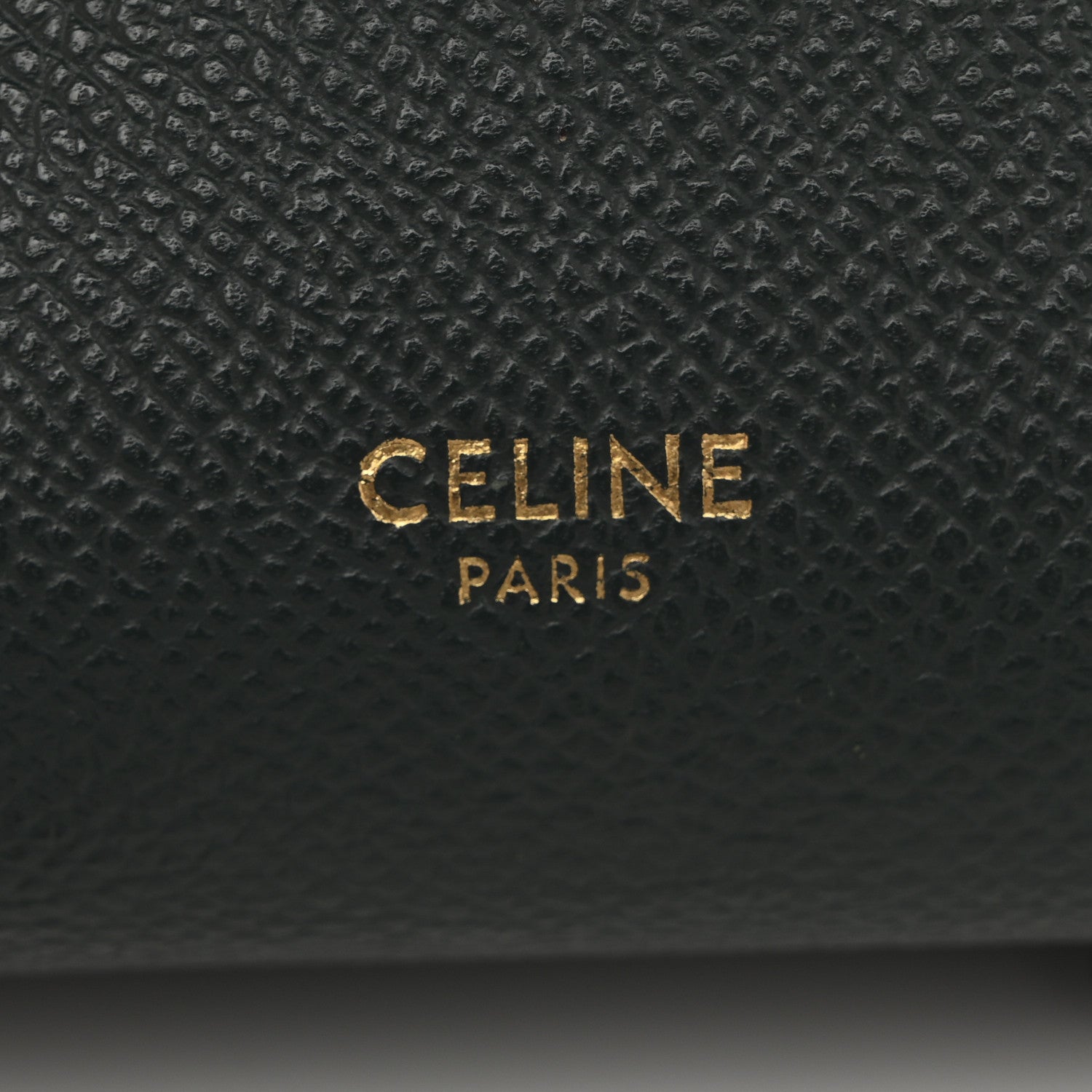 Celine Grained Calfskin Nano Belt Bag Amazone 6 of 13