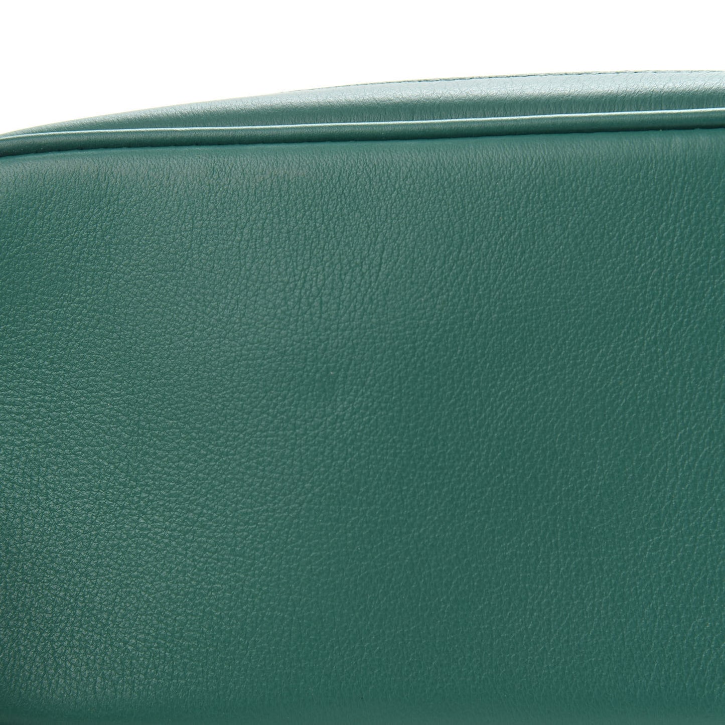 Goyardine Calfskin Mini Alpin Backpack Green