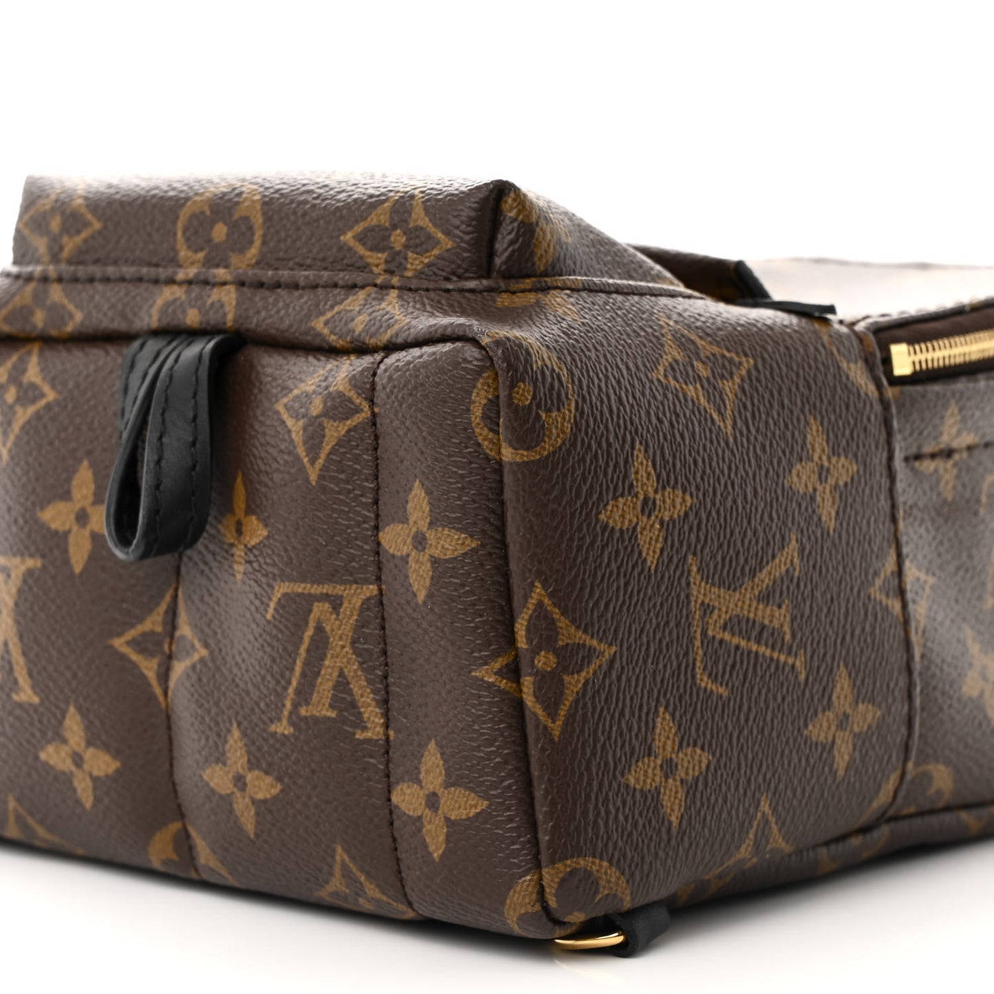 Monogram Palm Springs Backpack Mini