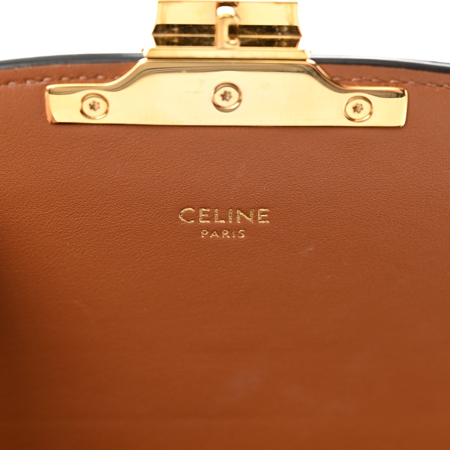 Calfskin Triomphe Canvas Teen Triomphe Bag Tan