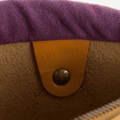 Louis Vuitton Epi Speedy 25 Tassil 7 of 7