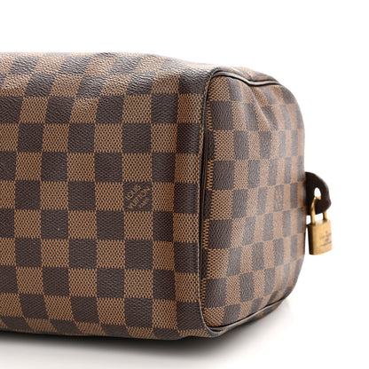 Louis Vuitton Damier Ebene Speedy 25 10 of 11