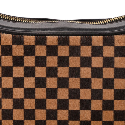 Louis Vuitton Calf Hair Damier Sauvage Tigre 8 of 10