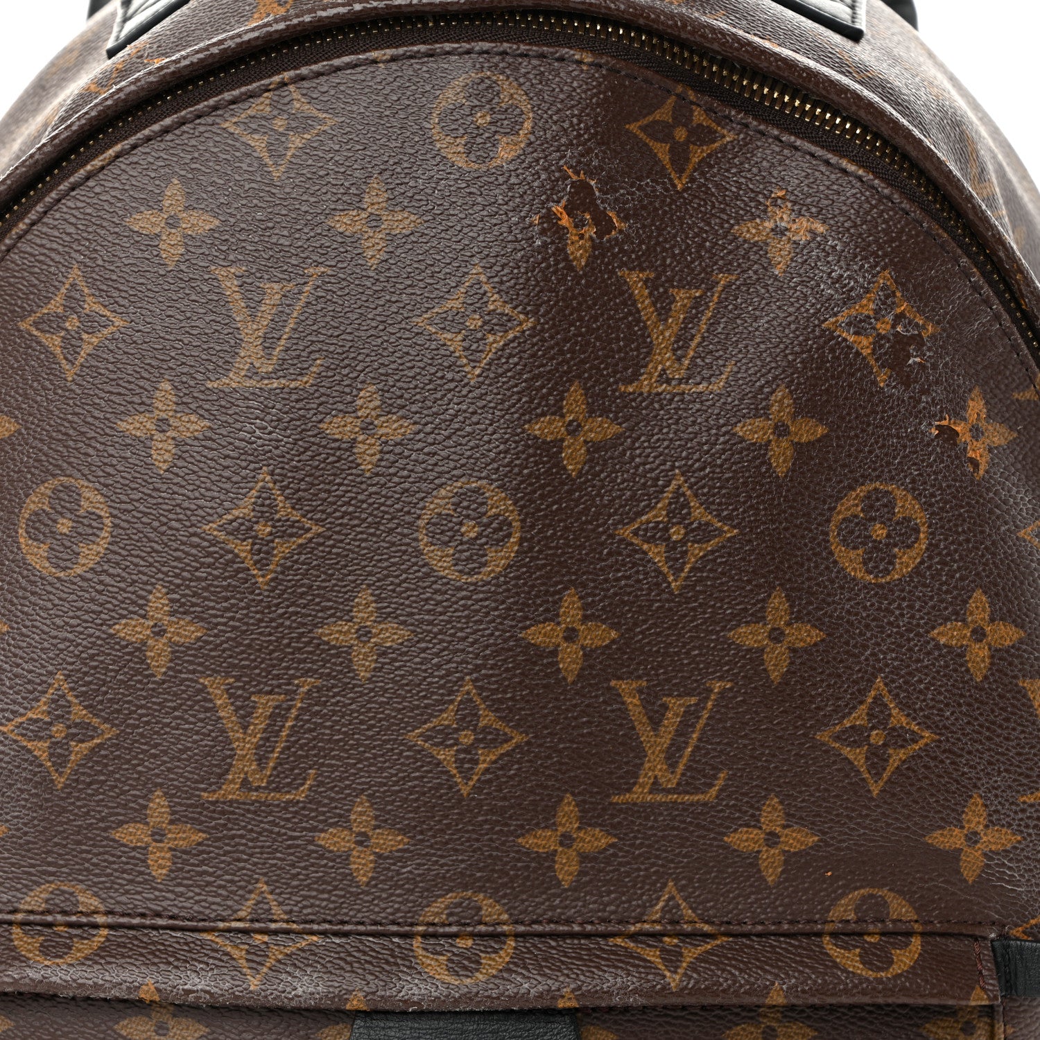 Louis Vuitton Monogram Palm Springs Backpack MM 1878980 – FASHIONPHILE