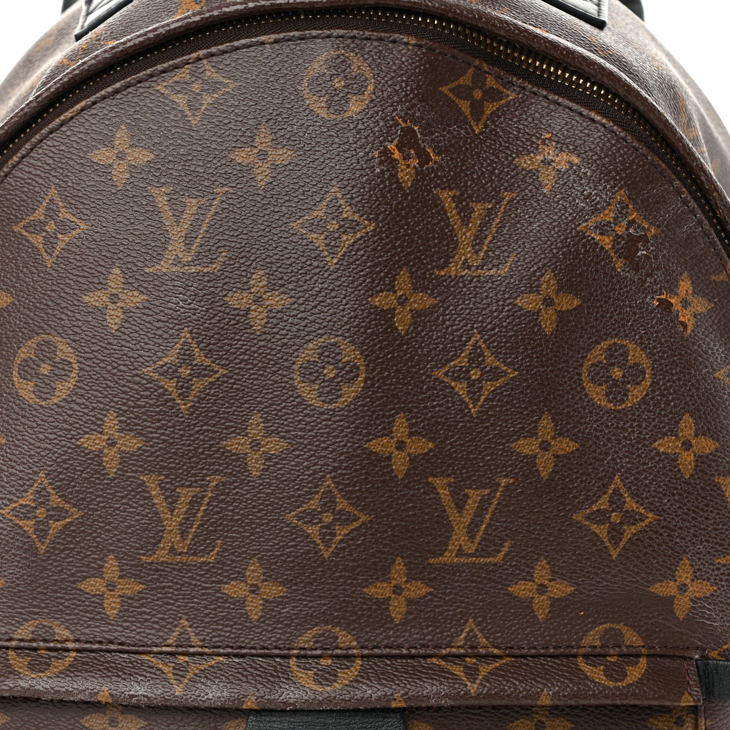 Monogram Palm Springs Backpack MM