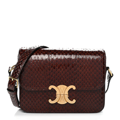 Celine Watersnake Teen Triomphe Brown 1 of 12