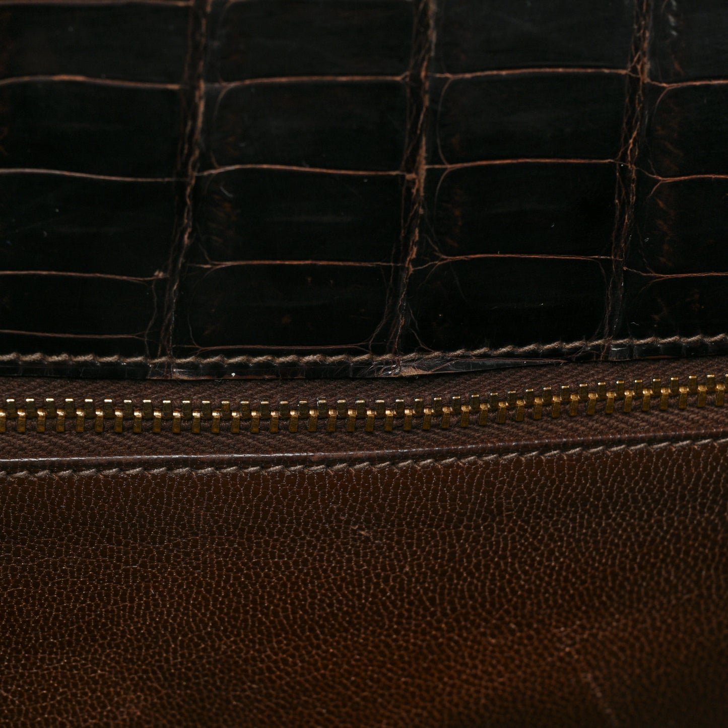 Shiny Alligator Kelly Sellier 28 Ebene