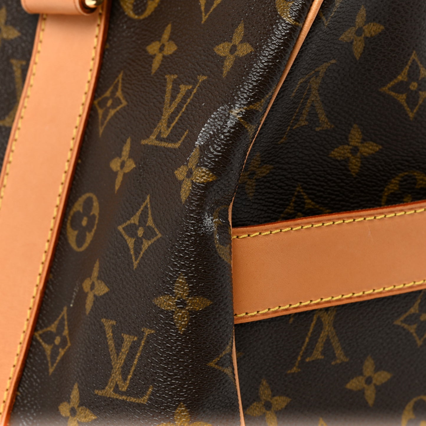Monogram Carryall