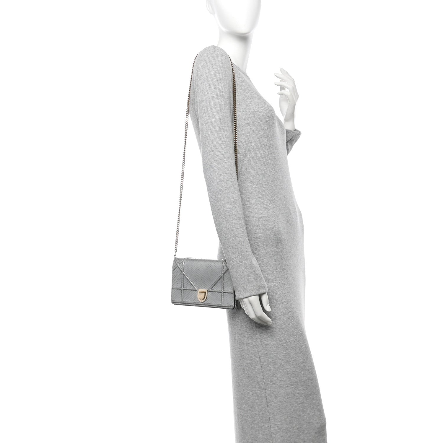 Christian Dior Snakeskin Diorama Wallet on Chain Pouch Silver 2 of 18