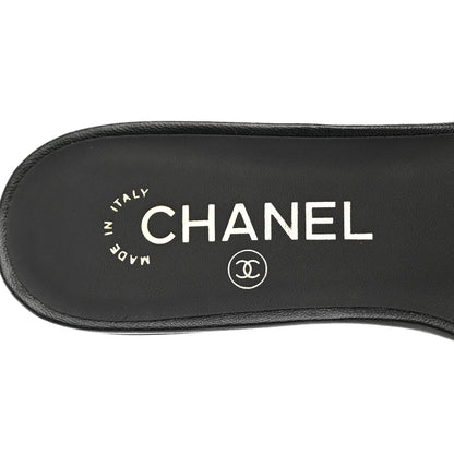 Chanel Lambskin Camellia CC Slides 36 Black 7 of 8