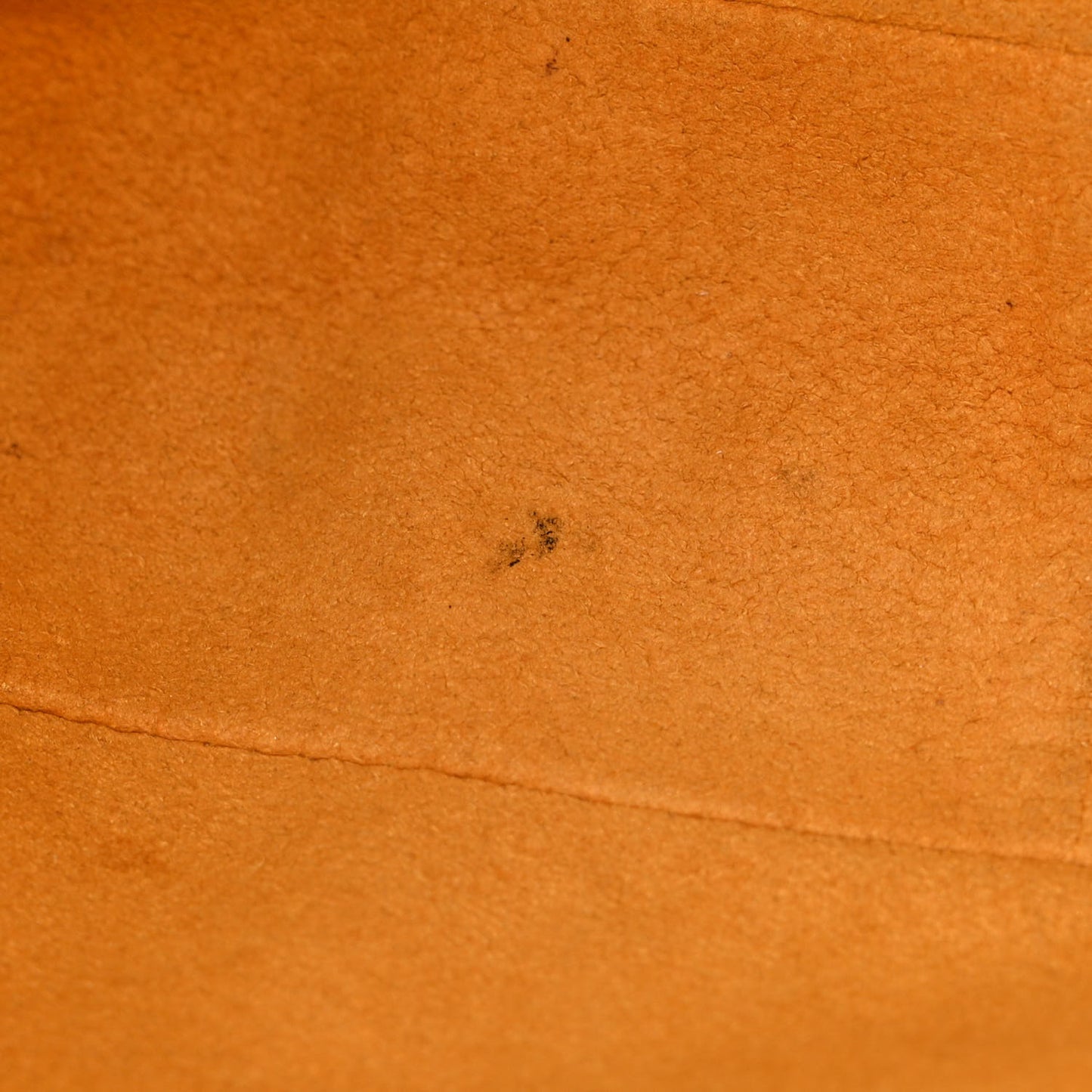 Monogram Denim Bum Bag Blue