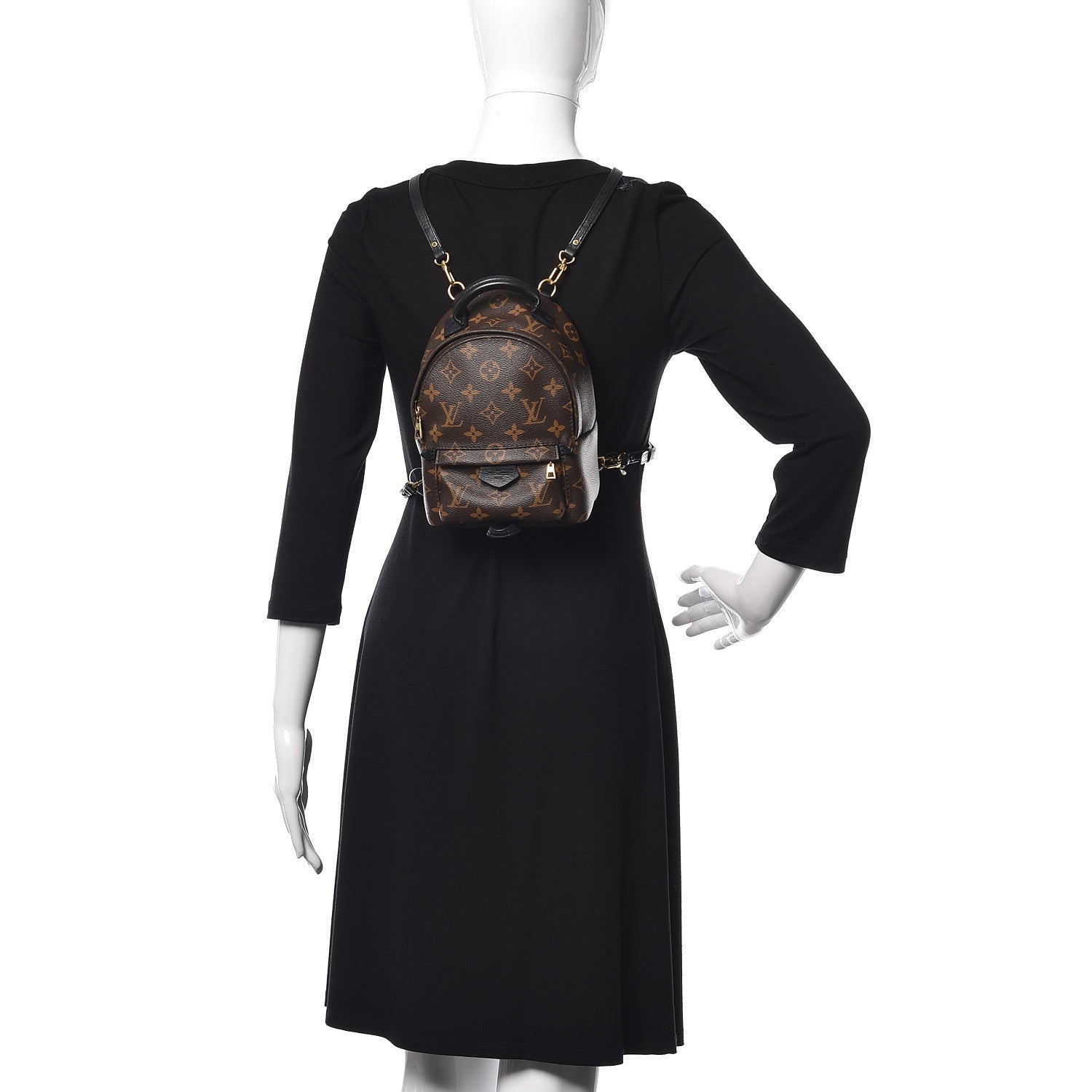 Louis Vuitton Monogram Palm Springs Backpack Mini 2 of 9