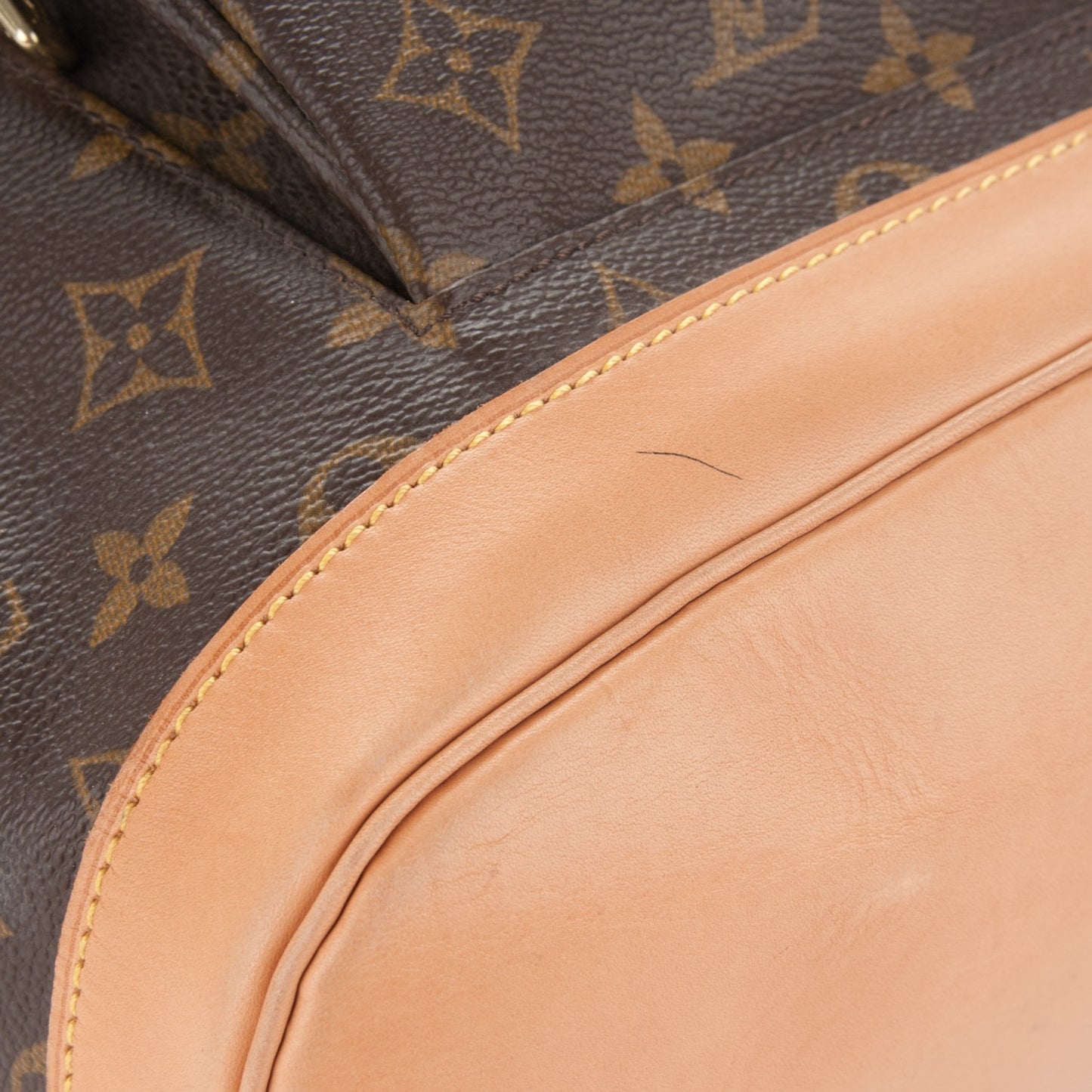 Monogram Montsouris GM Backpack