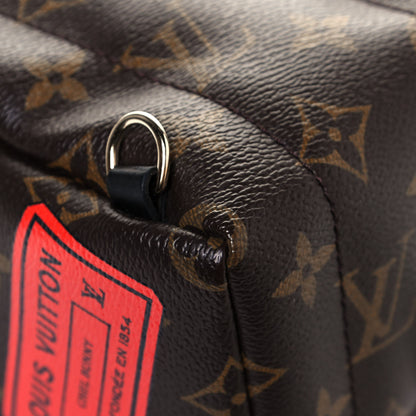 Louis Vuitton Monogram My World Tour Palm Springs Backpack Mini 9 of 11