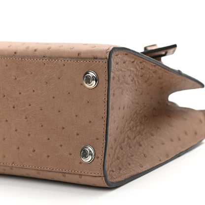 Louis Vuitton Ostrich City Steamer PM Gris 8 of 8