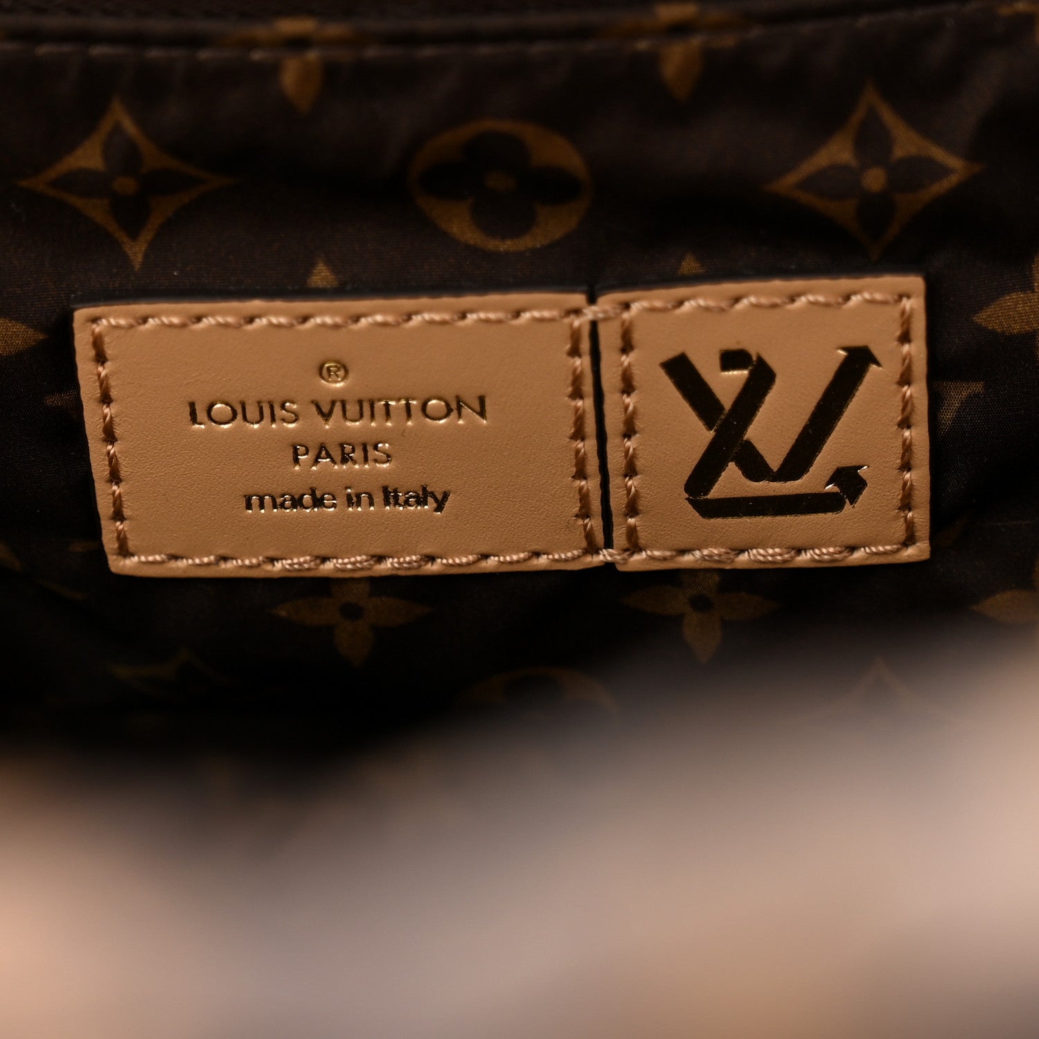 Louis Vuitton Econyl Monogram Pillow Giant Onthego GM Beige 5 of 10
