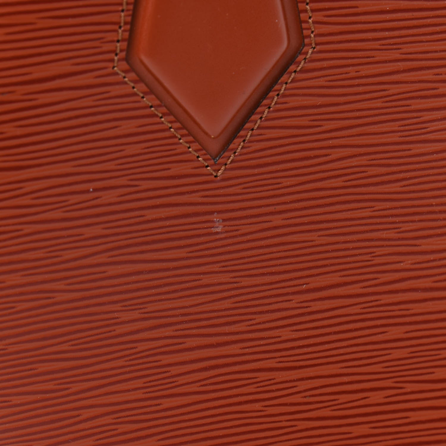 Louis Vuitton Epi Sablons Kenyan Fawn 12 of 13