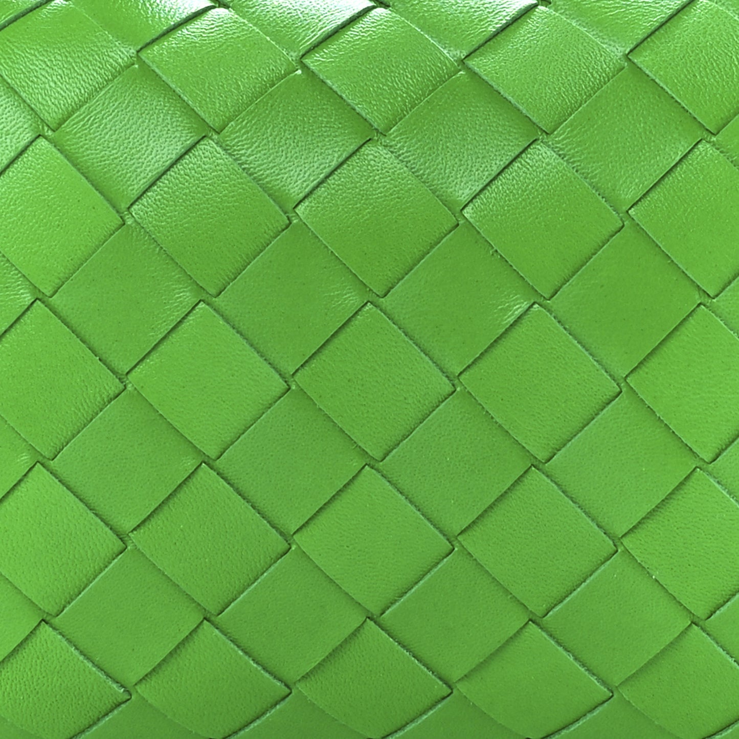 Nappa Intrecciato Mini Loop Camera Bag Parakeet
