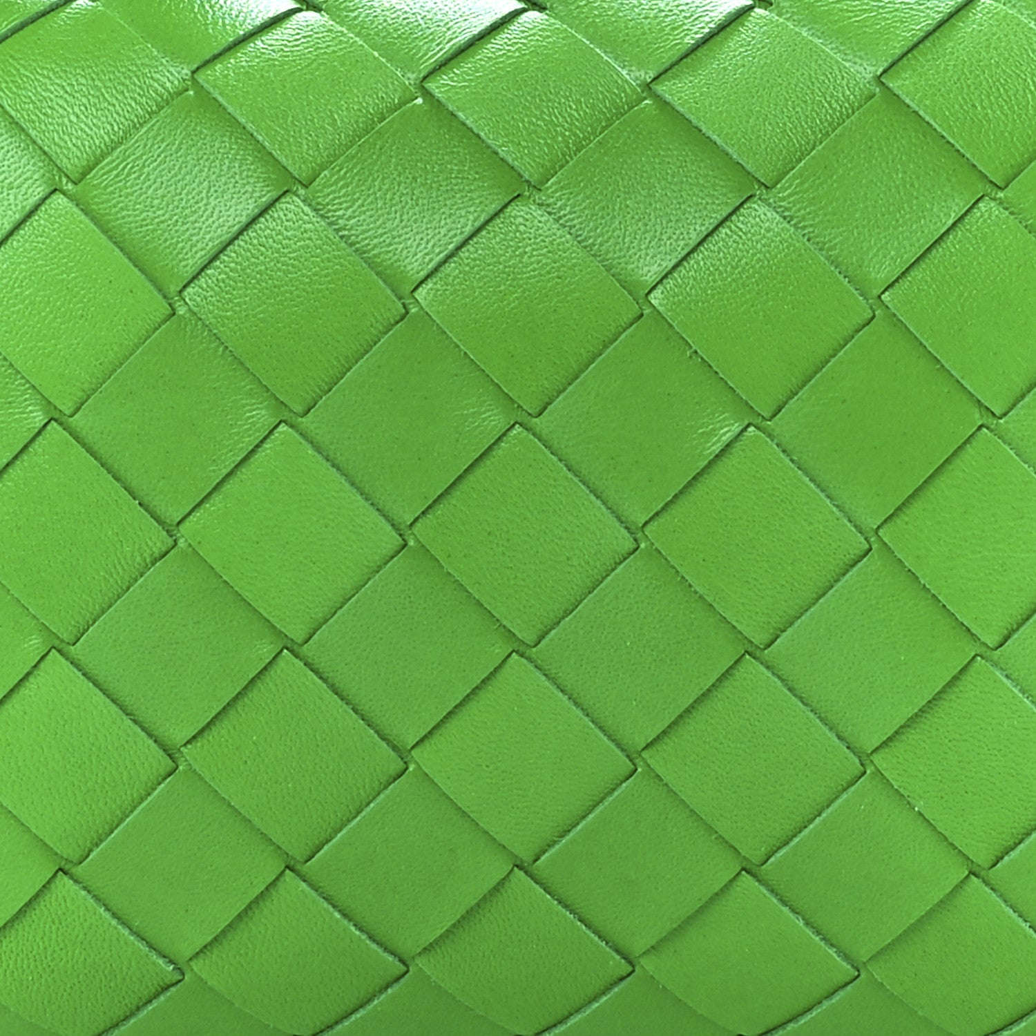 Bottega Veneta Nappa Intrecciato Mini Loop Camera Bag Parakeet 9 of 12