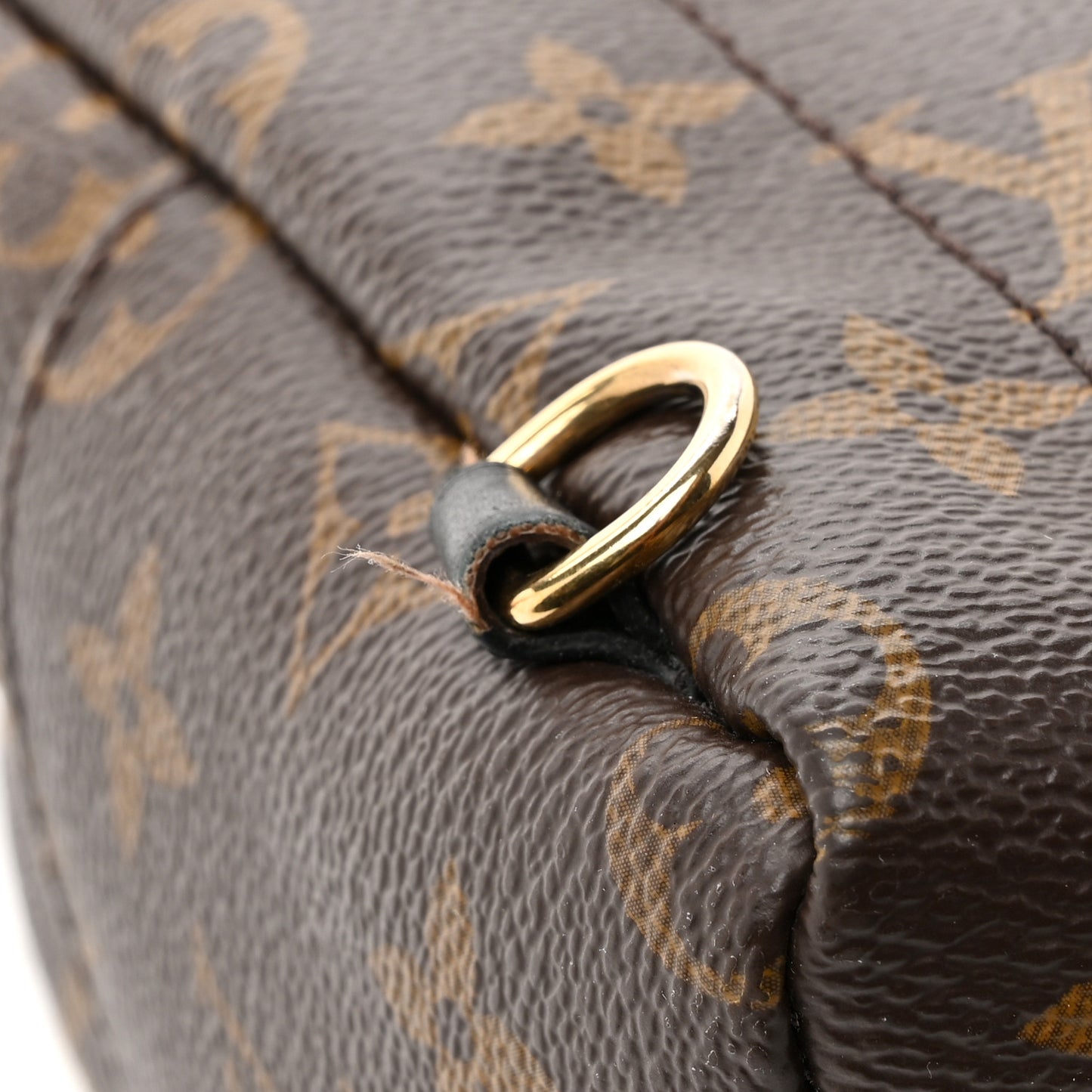 Monogram Palm Springs Backpack Mini