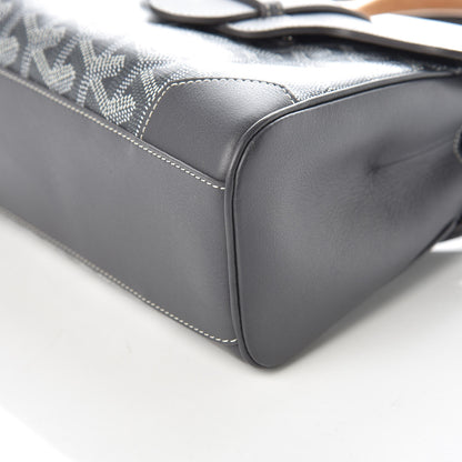 Goyard Goyardine Mini Saigon Grey 6 of 9