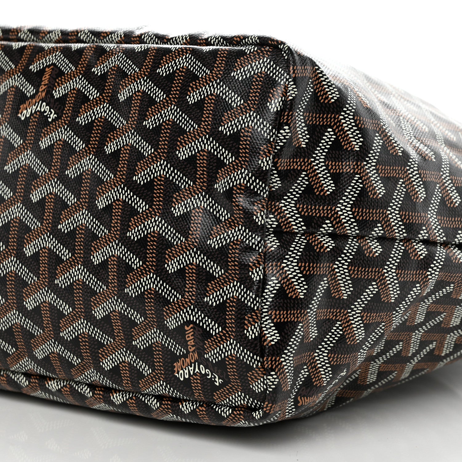 Goyard Goyardine Saint Louis PM Black 10 of 10