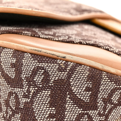Christian Dior Monogram Saddle Bowler Brown 21 of 23