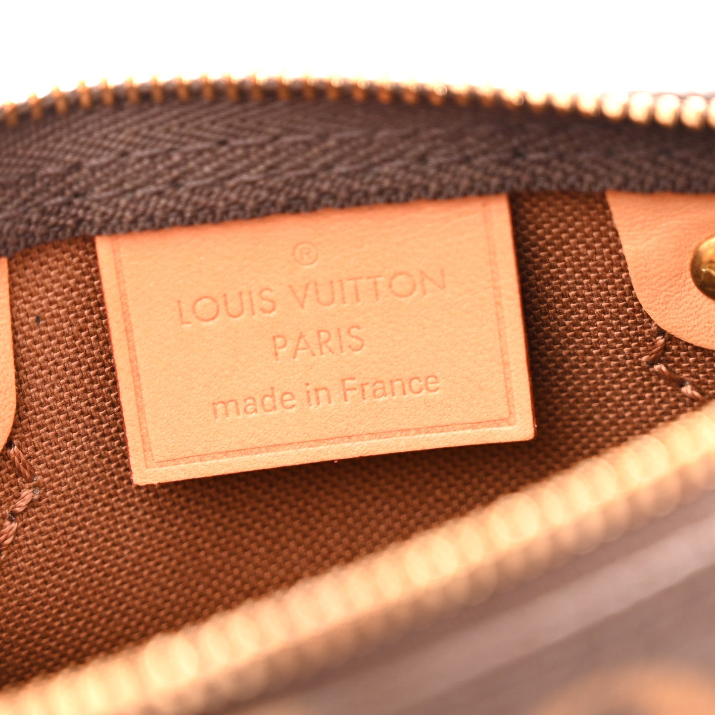 Monogram Nano Speedy