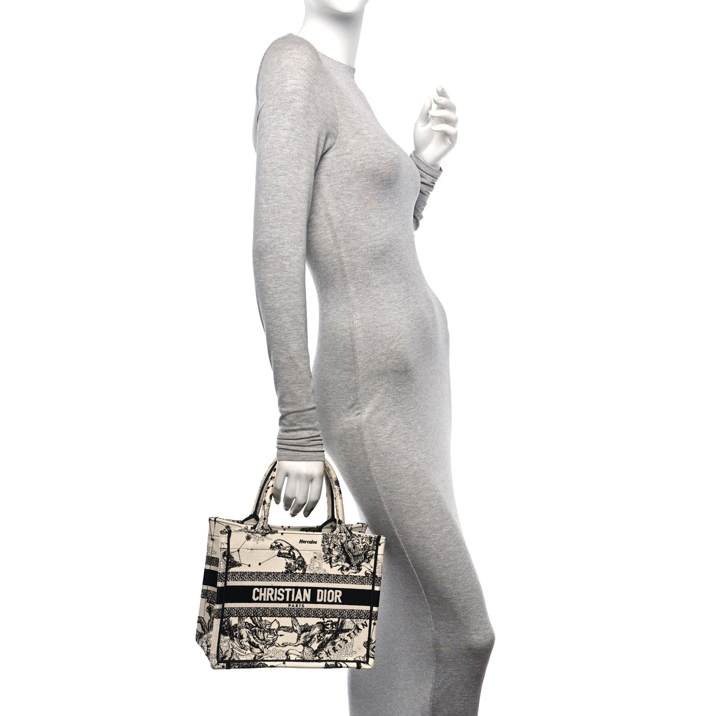 Canvas Embroidered Small Zodiac Toile De Jouy Book Tote Latte