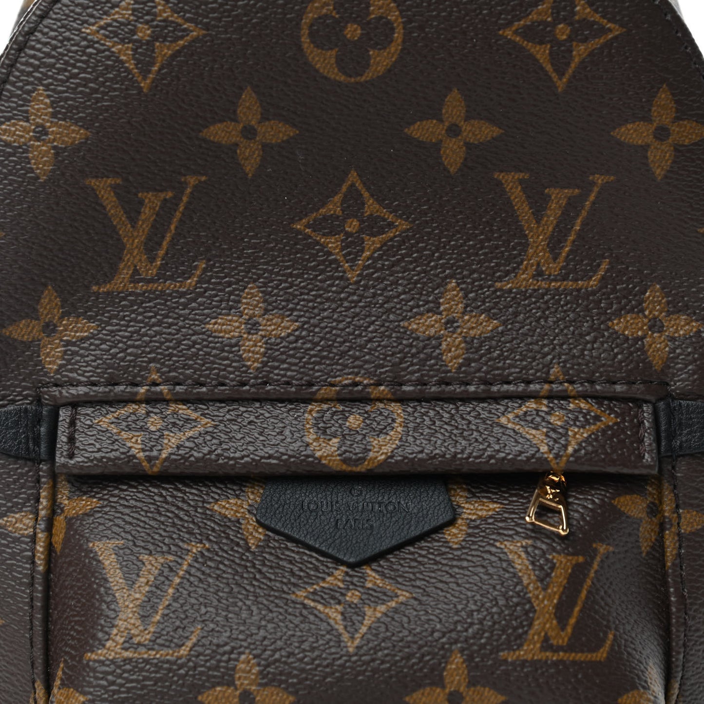 Monogram Palm Springs Backpack Mini