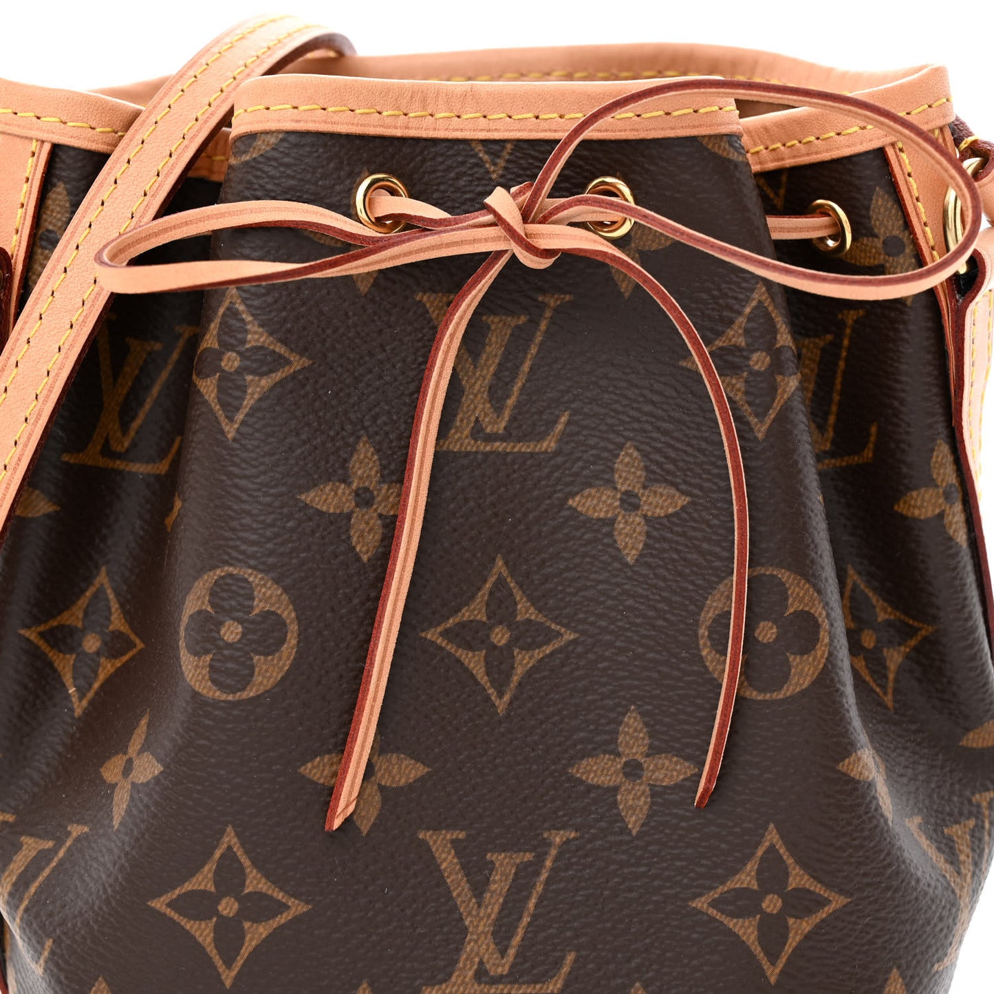Monogram Nano Noe