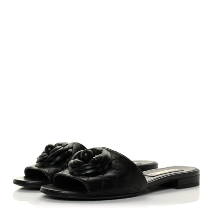 Chanel Lambskin Quilted Camellia CC Slides 39 Black 3 of 9