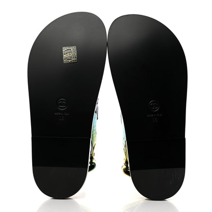 Chanel Laminated Lambskin Printed CC Dad Sandals 36 Multicolor 5 of 11