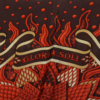 Hermes Silk Gloria Soli Scarf 90 6 of 7