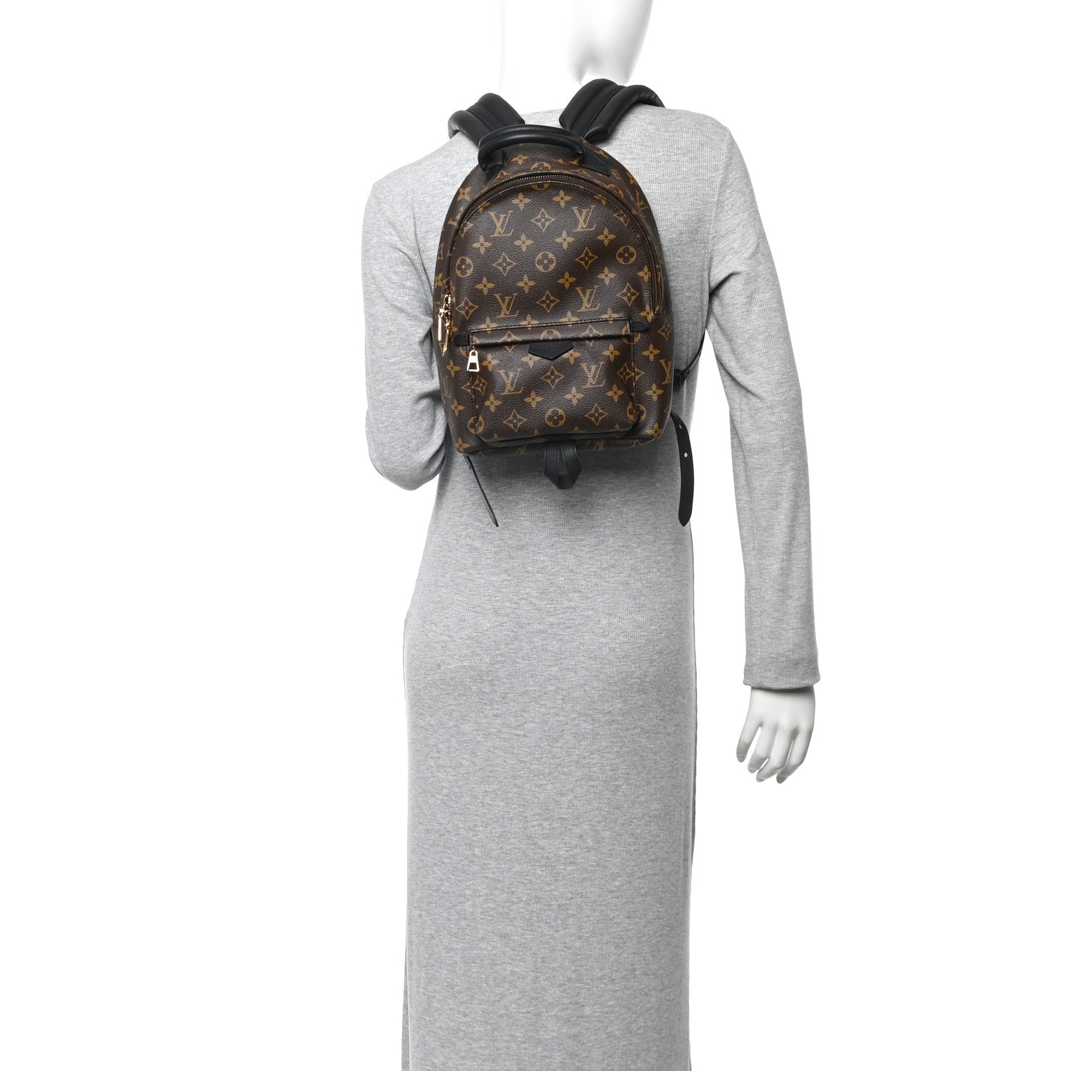 Louis Vuitton Monogram Palm Springs Backpack PM 2 of 12